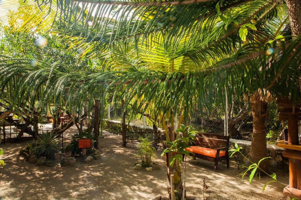 Villa Los Mangles Boutique Hotel Isla Holbox Exterior foto